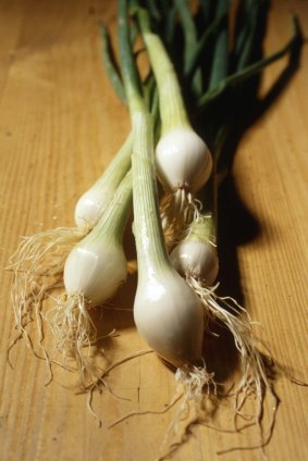 A biting taste: spring onions.