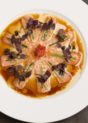 Salmon new style sashimi.