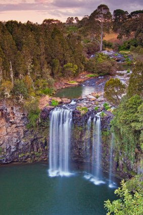 Dangar Falls, near the township of Dorrigo, NSW.