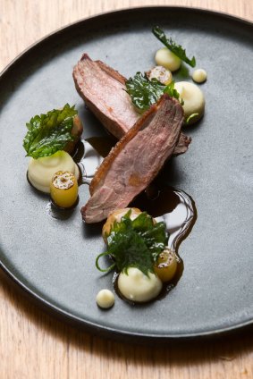 Duck with nettles, grapes and parsnip.