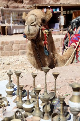 Shopping for trinkets while a camel looks on.