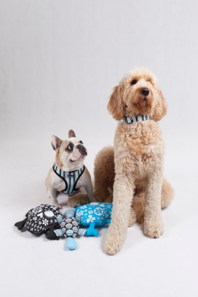 Social media has helped drive business to Dogue.