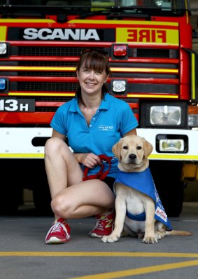 15-week-old Seeing Eye Dog Otto visits the Roma Street Fire Station with Seeing Eye Dog Australia puppy carer Susan Jorgensen, from Hendra.