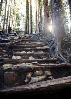 A few of the Grouse Grind’s 2830 stairs.
