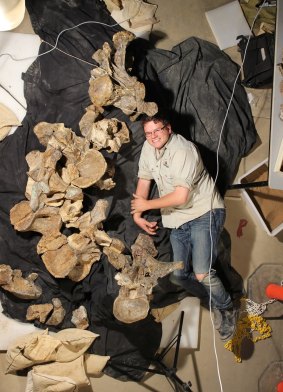 Dr Stephen Poropat with five back vertebrae from Savannasarus elliottorum.