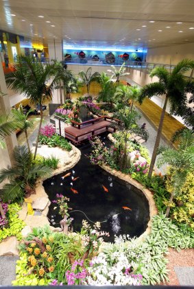 More than 15 species of orchids are displayed on different natural structures, including a number of them tied on natural driftwood overhanging the Koi Pond. 