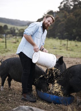 Paul West feeding the pigs.