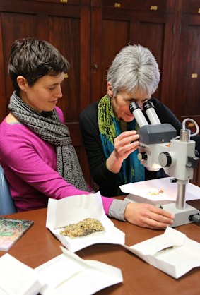 Dr Jane Elith at work with a colleague.