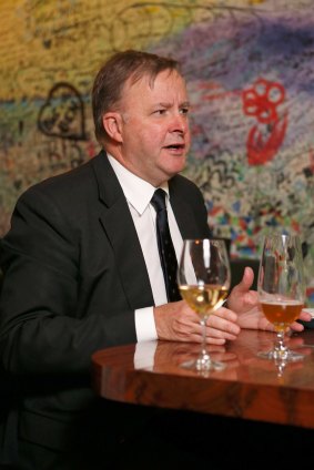 Anthony Albanese thinks the government should look at opportunities in the craft beer industry.
