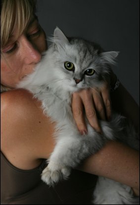At least the study proved that cats actually did like their owners. 