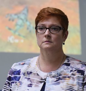 Defence Minister Marise Payne