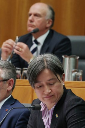 Labor senator Penny Wong cautioned colleagues against detailing suicide methods in public.