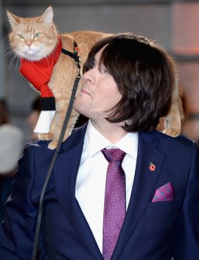 James Bowen's life transformation since meeting the cat Bob is now being told in a film.