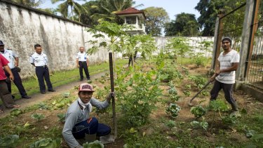 IDEP believes the Bangli prison organic garden is a world-first for prison rehabilitation programs.