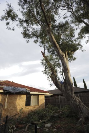 A tarpaulin covers a hole a falling branch punched in the roof of this ACT Housing property.