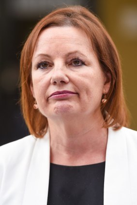 Sussan Ley was forced to quit as health minister after an expenses scandal.