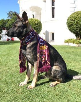 Gavel considers himself a proud Queenslander.