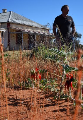 Scott Smith, owner of Out of the Ordinary Outback at a property he is renovating outside Broken Hill at Mt Gipps. Native flowers including Sturt's Desert Peas are blooming again in the north west of NSW following record high rains.