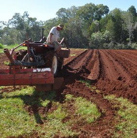 David Jelley working the rich, red soil on Lamb Island.