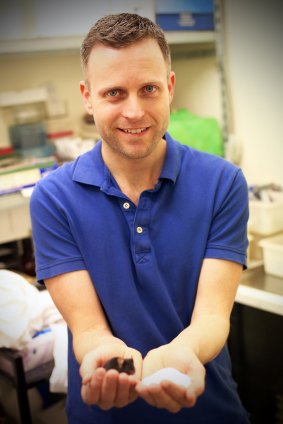 Researcher Craig Smith with a mouse and some salt at the Florey Institute.