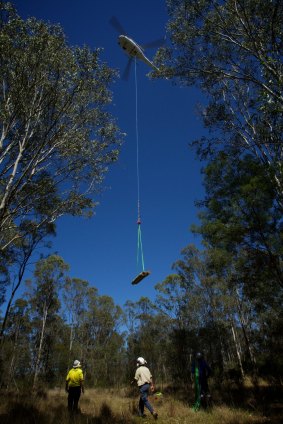 Logs are lifted by a helicopter into the heart of the Mulgoa Nature Reserve near Penrith. 