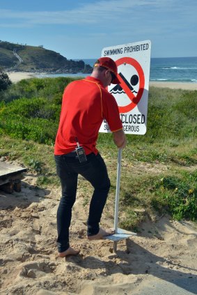 Duty surf lifesaver Ryan Rosenbaum erects a "beach closed" sign the day after the attack. Photo: Matt Attard/Port Macquarie News
