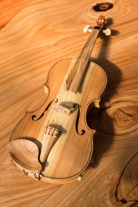 With the grain ... the violin has an unusual clear finish.