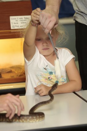 Scarlett Dyer, 5, of Spence feeds a centralian python a dead mouse at the Snakes Alive exhibition at the Australian National Botanic Gardens.