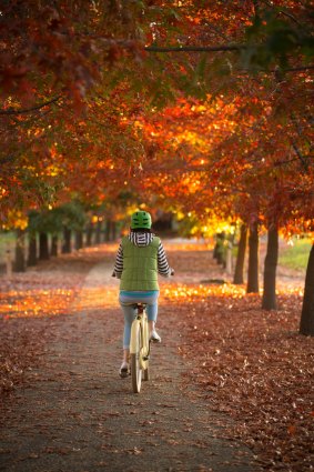 No matter what the season, the Murray to Mountains Rail Trail is one of Australia's most spectacular cycle ways.