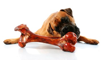 Bones your dog eats are treated differently to those consumed by people.