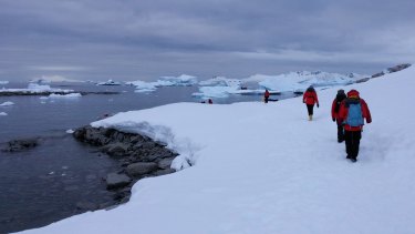 Homeward Bound 2016 participants at Portal Point on the Antarctic Peninsula.