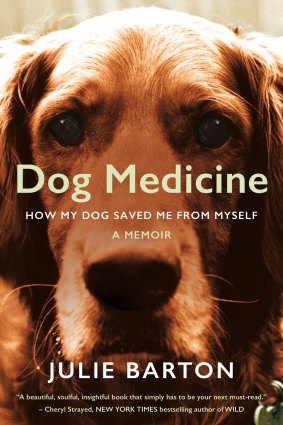 <i>Dog Medicine</i> by Julie Barton.