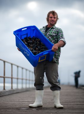 Mussel farmer Michael "Harry" Harris  is concerned what the consequences might be of mussels he has not grown being passed off as his. 