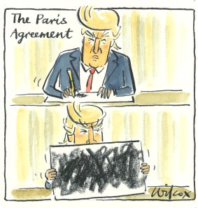 Illustration: Cathy Wilcox