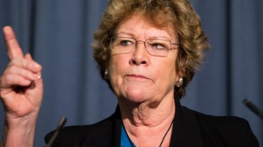 NSW Health Minister Jillian Skinner fronts a press conference on Tuesday to deliver interim findings on the hospital gassing of two babies.