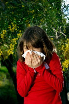 Hay fever sufferers be warned - the worst of Canberra's pollen levels  could be yet to come.