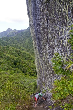 Hiker at the base of the Needle on Rarotonga's Cross-Island Trek.