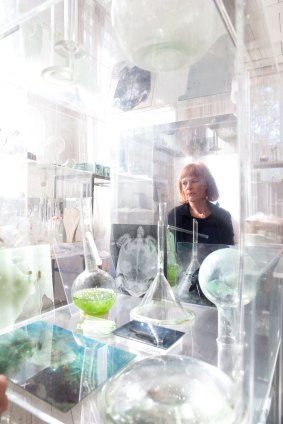 "I'm creating a kind of resuscitation space for the Barrier Reef": Janet Laurence in her studio in Chippendale.