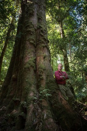 Vica Bayley from  the Wilderness Society, in the Styx Valley in southern Tasmania.