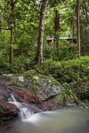 The rainforest setting of Narrows Escape.