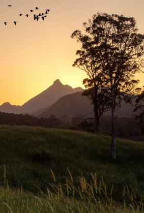 Sunset view of Mt Warning.