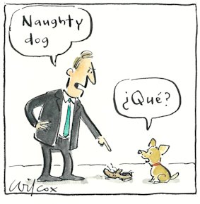 Illustration: Cathy Wilcox