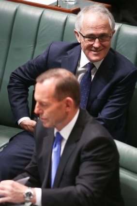 Communications Minister Malcolm Turnbull, pictured with Mr Abbott, has had the temerity to win more plaudits from the public than the "other actors".