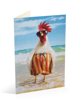 "It felt impossible to capture what I saw, in that [Father's Day card's] offbeat rooster in sunglasses and loud shorts ... shining with all the goodwill he brought to light our way."
