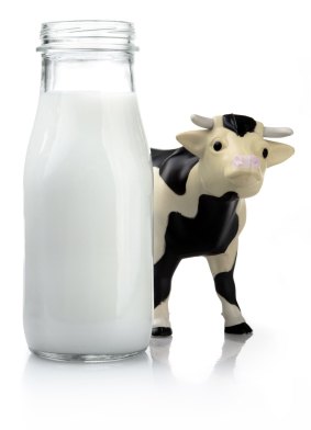 To drink or not to drink: unpasteurised milk.