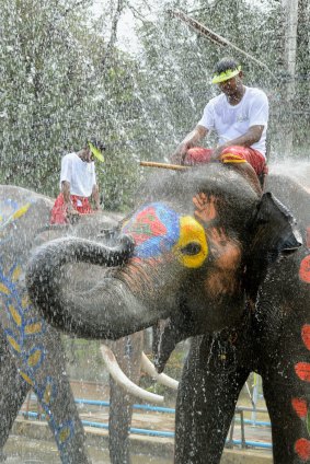 Elephants in the city of Ayutthaya are in on the fun.