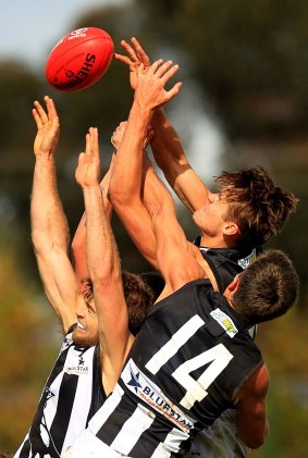 From left: Jeremy Taylor, Clinton Young and Darcy Moore of the Magpies compete in the air during the match against Essendon on Sunday.