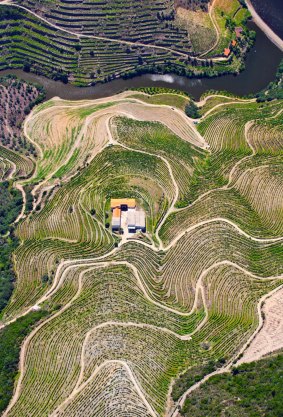 An aerial shot of a vineyard shows the stepped terraces where the grapes grow.
