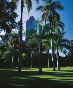 City Botanical Gardens, Brisbane.