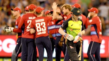 T20 Series David Warner To Have Time Off Before Rejoining Squad In New Zealand